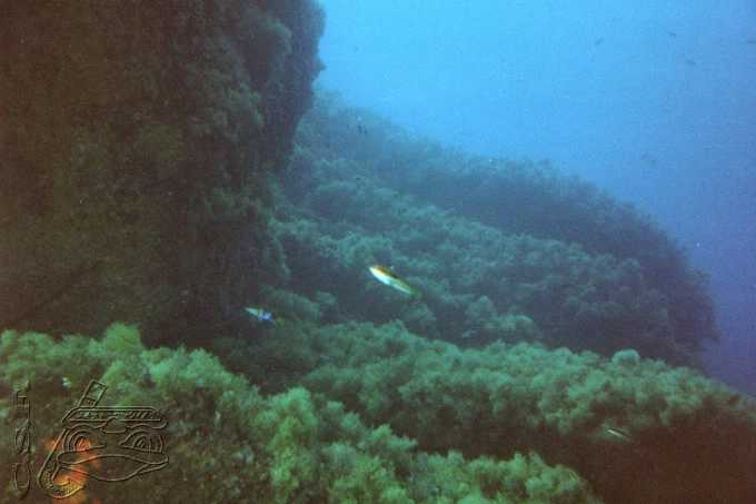 atoll50-08